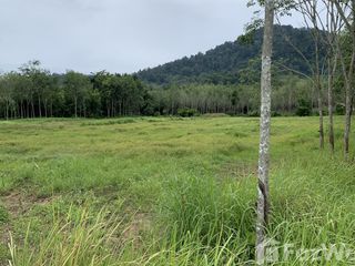 For sale land in Thalang, Phuket