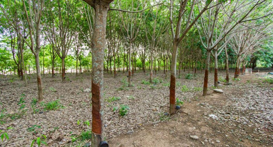 For sale 2 bedrooms retail Space in Si Rattana, Sisaket