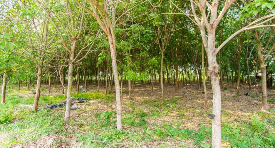 For sale 2 bedrooms retail Space in Si Rattana, Sisaket