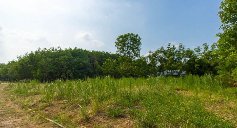 For sale 2 bedrooms retail Space in Si Rattana, Sisaket