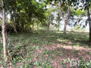 ขาย ที่ดิน ใน ถลาง, ภูเก็ต