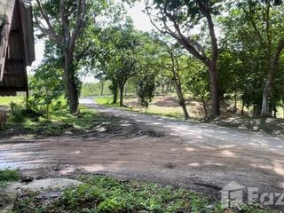 ขาย ที่ดิน ใน ถลาง, ภูเก็ต