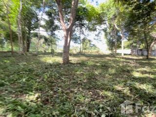 ขาย ที่ดิน ใน ถลาง, ภูเก็ต