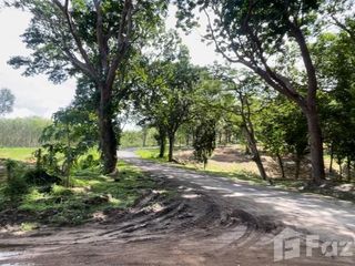 ขาย ที่ดิน ใน ถลาง, ภูเก็ต