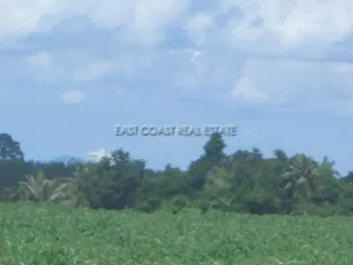 For sale land in Bang Lamung, Chonburi