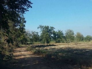 For sale land in Taphan Hin, Phichit