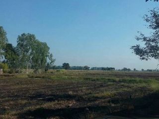 For sale land in Taphan Hin, Phichit