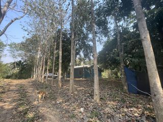 For sale land in Hua Hin, Prachuap Khiri Khan