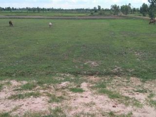 For sale land in Kaset Wisai, Roi Et