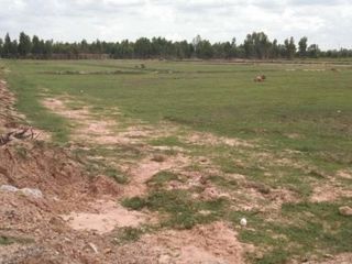 For sale land in Kaset Wisai, Roi Et