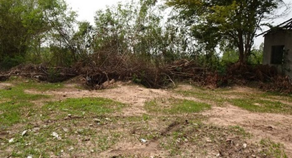 For sale land in Non Sa-at, Udon Thani