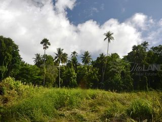For sale land in Thong Pha Phum, Kanchanaburi