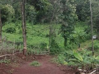 出售 土地 在 Samoeng, Chiang Mai