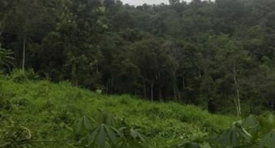 Grundstück zum Kauf in Samoeng, Chiang Mai