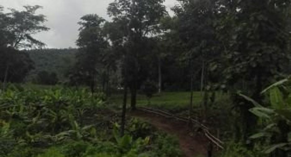 Grundstück zum Kauf in Samoeng, Chiang Mai