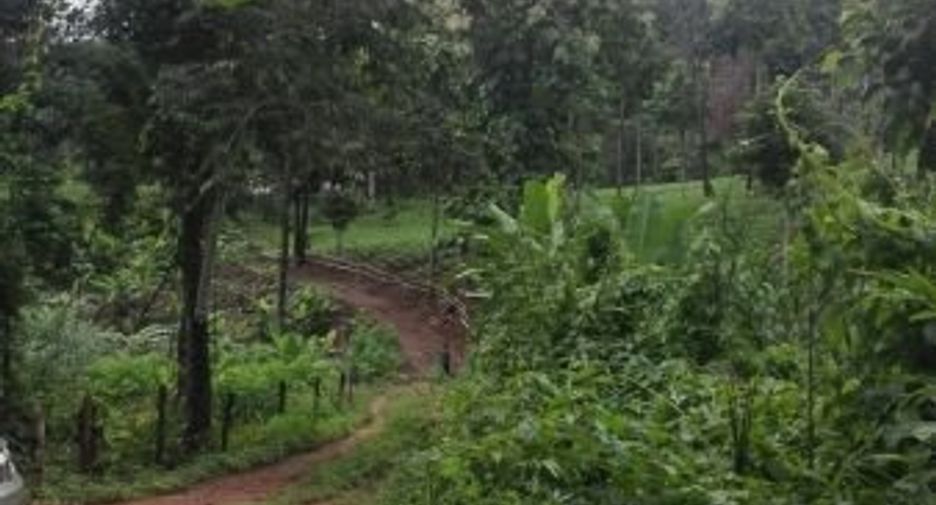 Grundstück zum Kauf in Samoeng, Chiang Mai