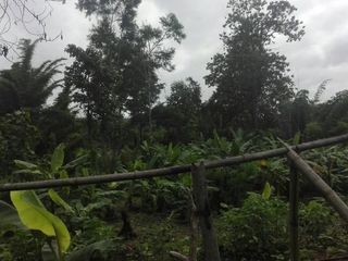 出售 土地 在 Samoeng, Chiang Mai