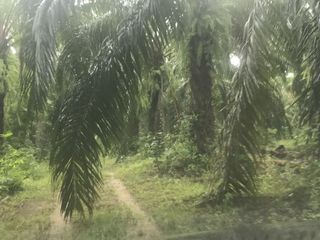 For sale land in Ao Luek, Krabi