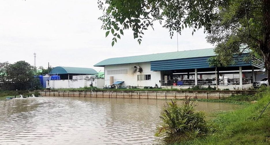For sale warehouse in Lam Luk Ka, Pathum Thani
