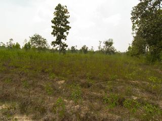 For sale land in Trakan Phuet Phon, Ubon Ratchathani