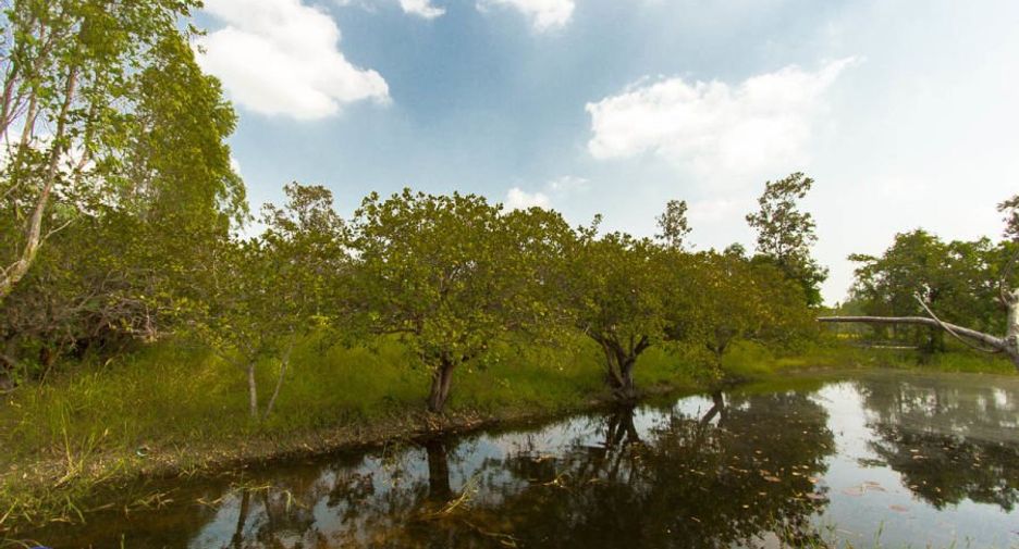 Terreno en venta en Trakan Phuet Phon, Ubon Ratchathani