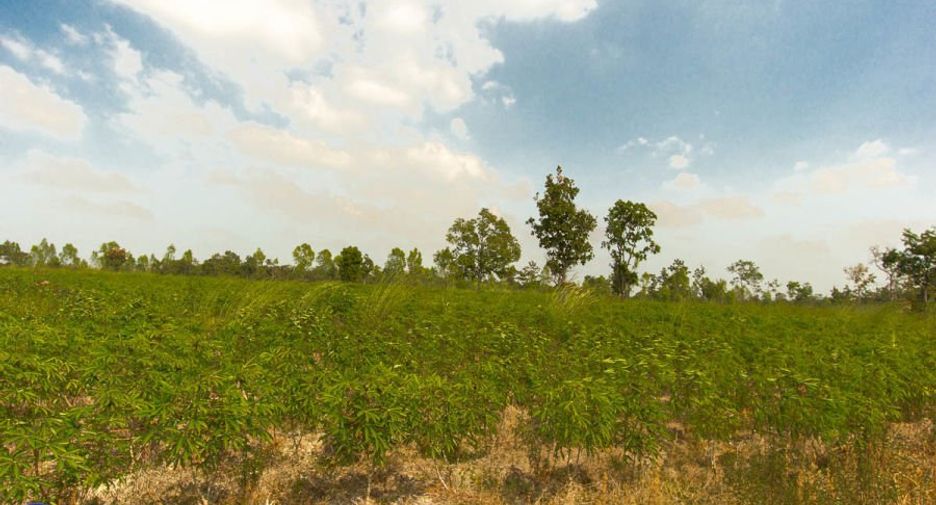 Terreno en venta en Trakan Phuet Phon, Ubon Ratchathani