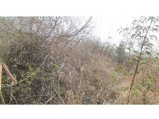 出售 土地 在 Ban Hong, Lamphun
