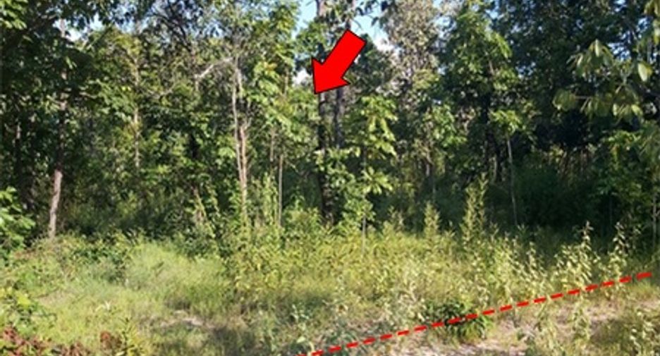 For sale land in Mueang Chaiyaphum, Chaiyaphum