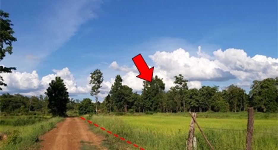For sale land in Mueang Chaiyaphum, Chaiyaphum