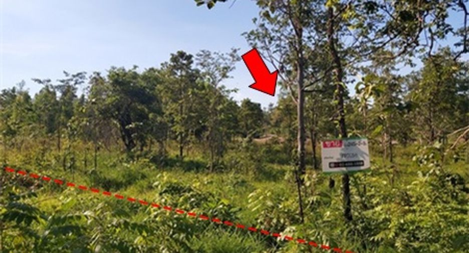 For sale land in Mueang Chaiyaphum, Chaiyaphum