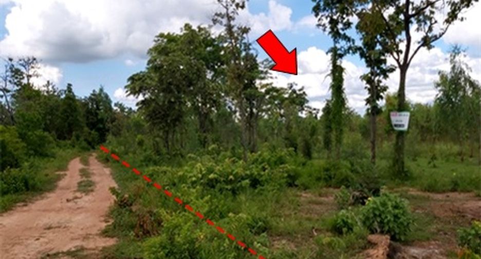 For sale land in Mueang Chaiyaphum, Chaiyaphum