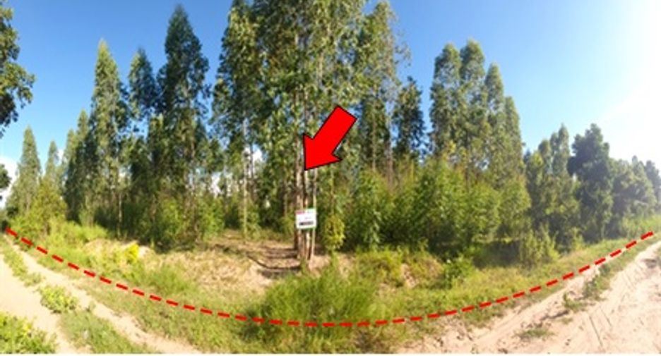 For sale land in Mueang Chaiyaphum, Chaiyaphum