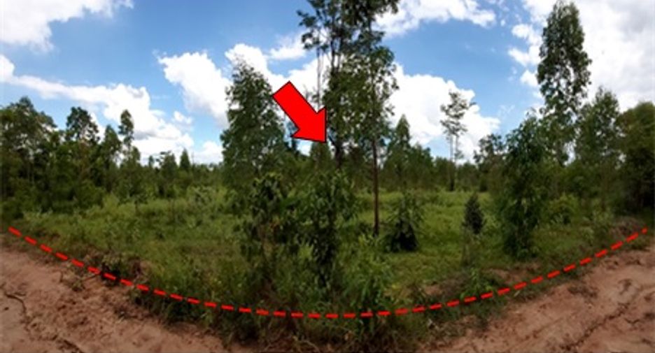 For sale land in Mueang Chaiyaphum, Chaiyaphum
