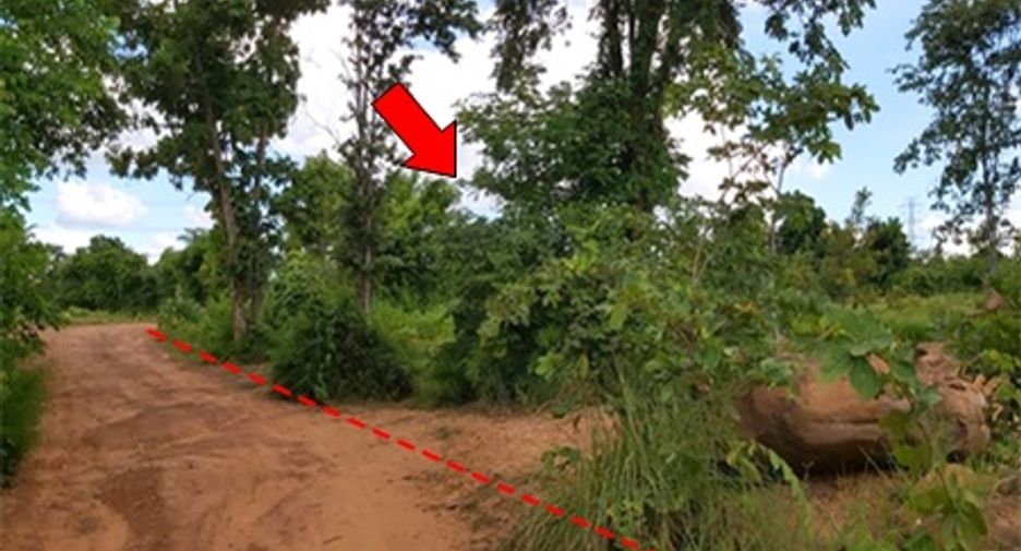 For sale land in Mueang Chaiyaphum, Chaiyaphum