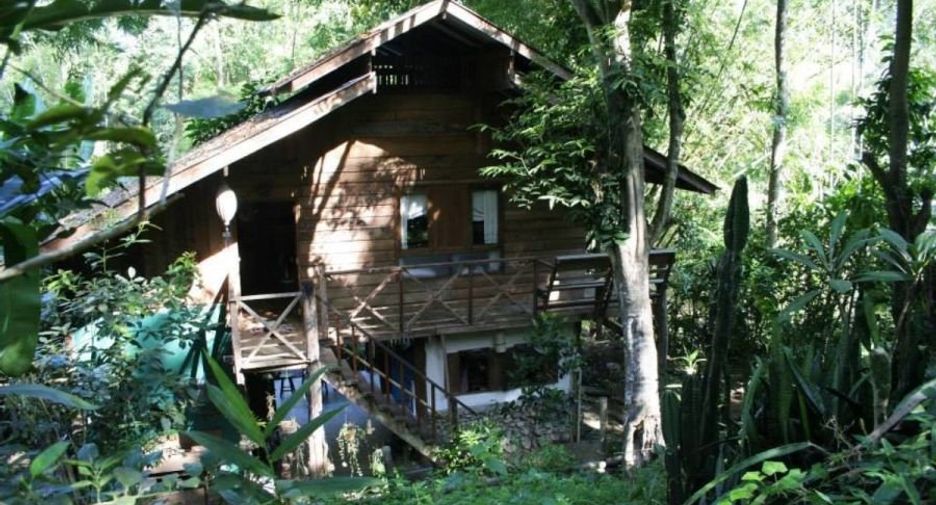 Haus zum Kauf mit 1 Zimmer in Pai, Mae Hong Son