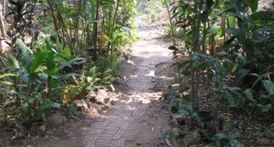 Haus zum Kauf mit 1 Zimmer in Pai, Mae Hong Son