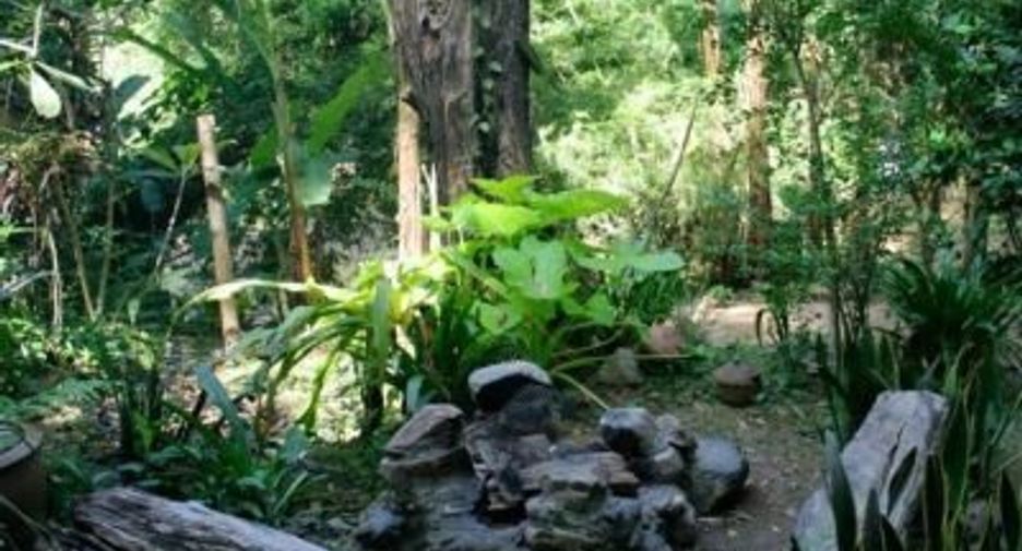 Haus zum Kauf mit 1 Zimmer in Pai, Mae Hong Son