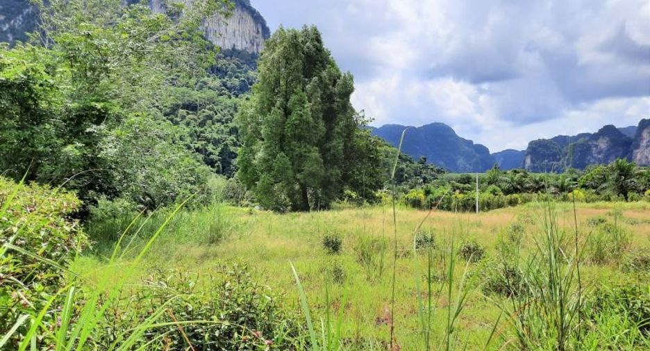 À vendre terrain à Mueang Krabi, Krabi