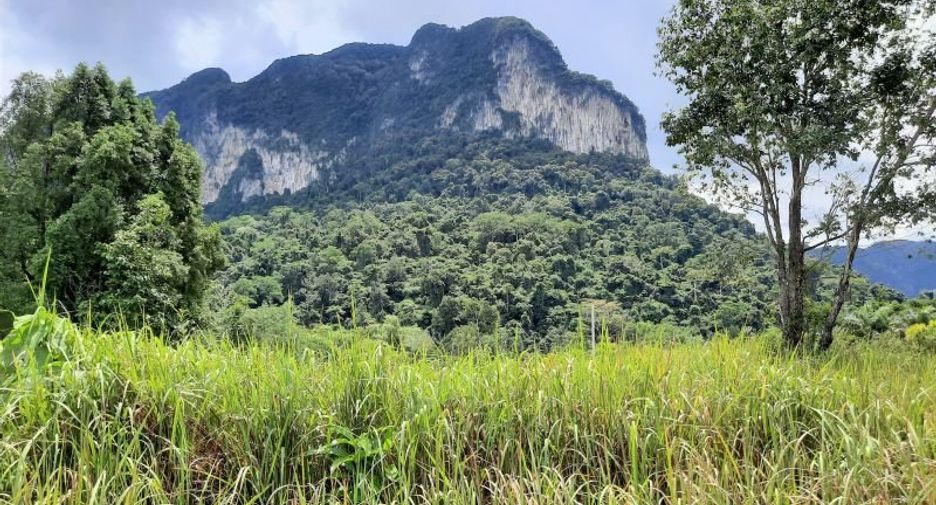 À vendre terrain à Mueang Krabi, Krabi