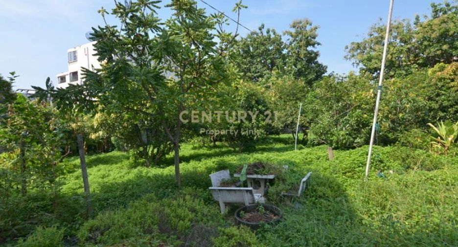 For sale land in Din Daeng, Bangkok