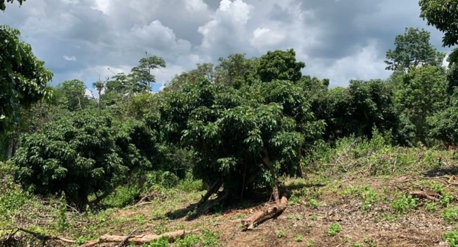 Grundstück zum Kauf in Mae Rim, Chiang Mai