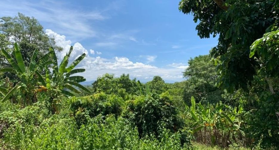 Grundstück zum Kauf in Mae Rim, Chiang Mai