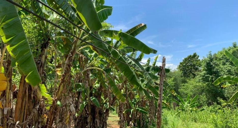 Grundstück zum Kauf in Mae Rim, Chiang Mai