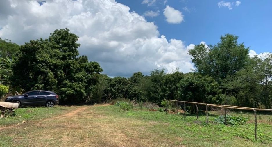 Grundstück zum Kauf in Mae Rim, Chiang Mai