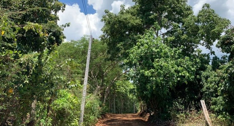 Grundstück zum Kauf in Mae Rim, Chiang Mai