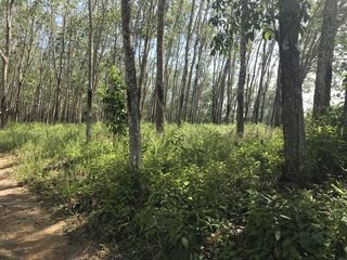 For sale land in Takua Thung, Phang Nga