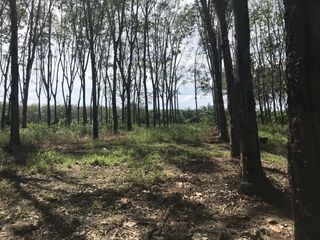 For sale land in Takua Thung, Phang Nga