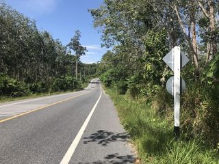 For sale land in Takua Thung, Phang Nga