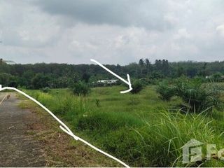 For sale land in Thalang, Phuket