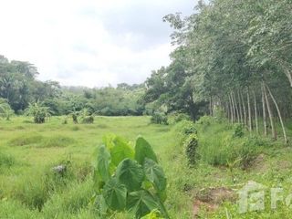 For sale land in Thalang, Phuket